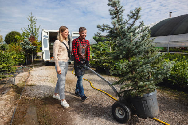 Best Residential Tree Removal  in Benjamin, UT